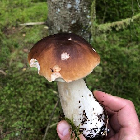 Slajszewo Blisko Morza 빌라 외부 사진